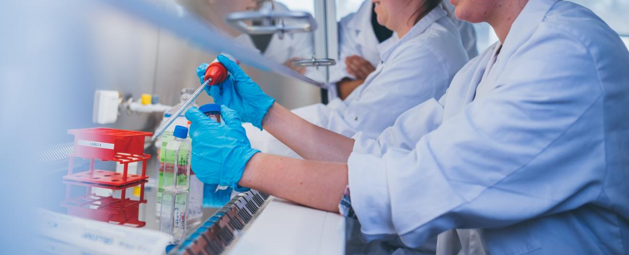 Studenten Biomedische Laboratoriumtechnologie in het labo
