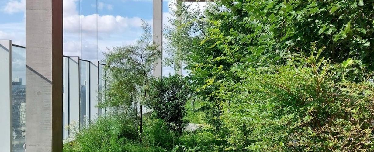 Masterclass Stadsnatuur en architectuur 