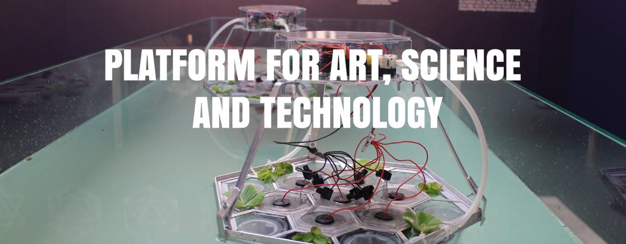 platform for art, science and technology