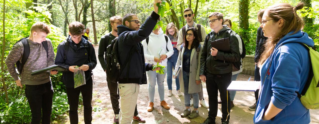 Studenten lta plantentuin meise