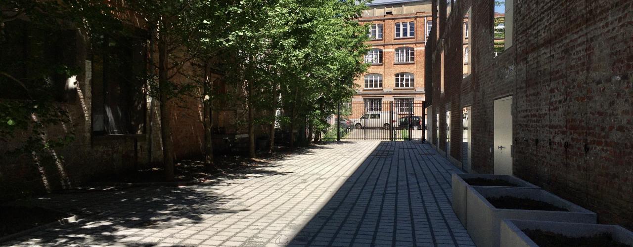 de groene straat campus kanal