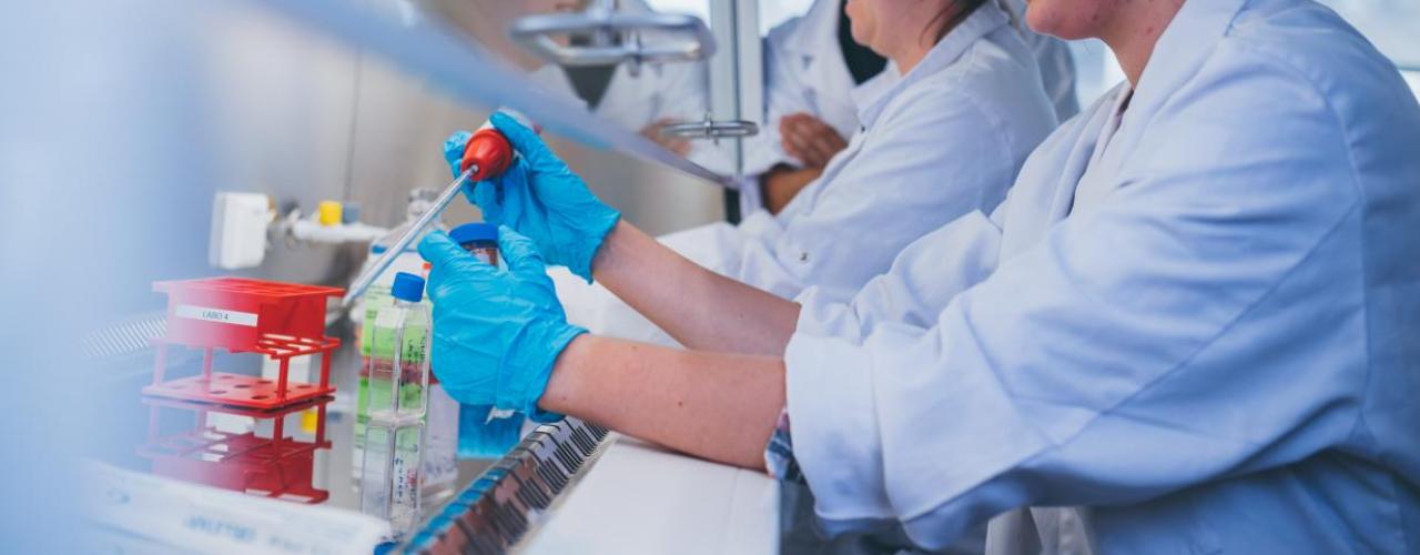 Leren in de praktijk: MLT studente Febe ontdekt de polikliniek van UZ Brussel