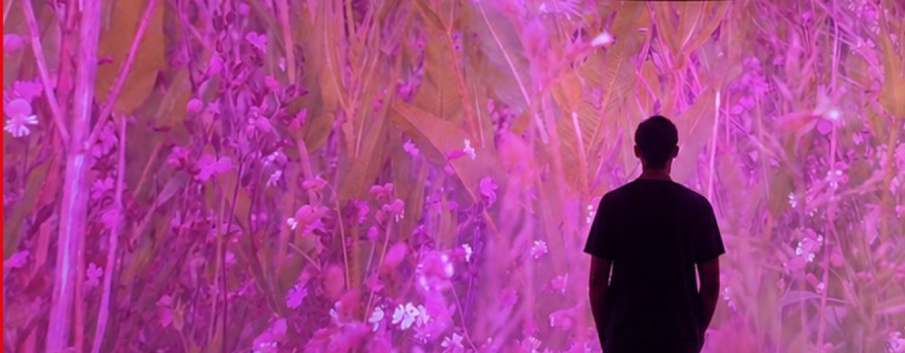 immersive room