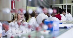 Workshop biomedische laboratoriumtechnologie