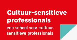 Cultuur-sensitieve professionals