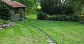 tuin+