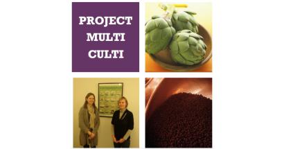 multi-culti project