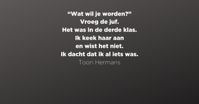 Toon Hermans