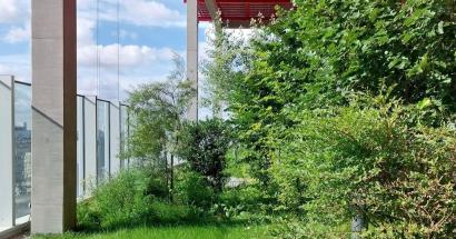 Masterclass Stadsnatuur en architectuur 