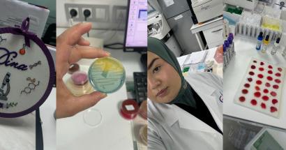 Stage biomedische laboratoriumtechnologie