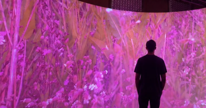 immersive room