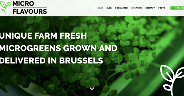 Website microflavours.brussels