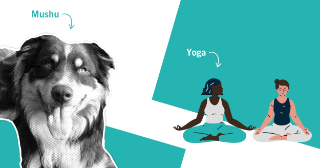 Mushu & yoga