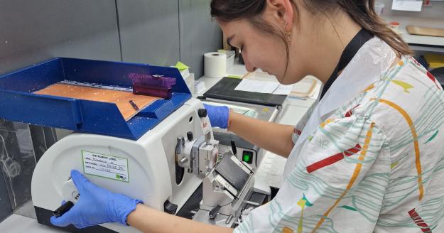 Stage biomedische laboratoriumtechnologie