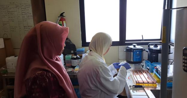 Stage biomedische laboratoriumtechnologie