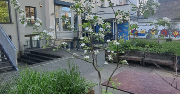 fruitboom in bloei