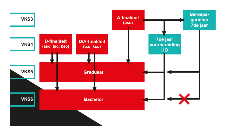 schema toegang bso naar HO