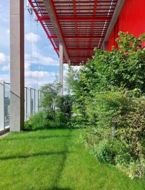Masterclass Stadsnatuur en architectuur 